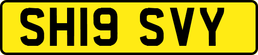 SH19SVY
