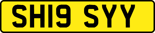 SH19SYY