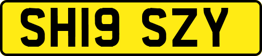 SH19SZY