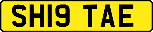 SH19TAE