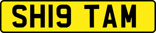 SH19TAM
