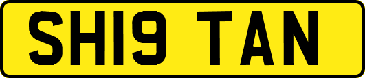 SH19TAN