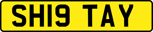 SH19TAY