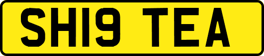 SH19TEA