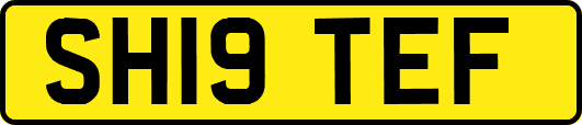 SH19TEF