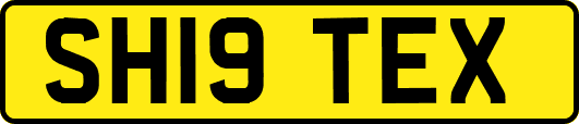 SH19TEX