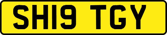 SH19TGY