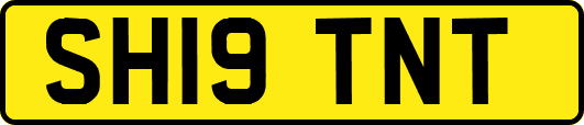 SH19TNT