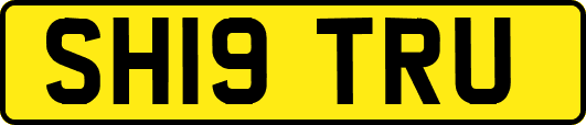 SH19TRU