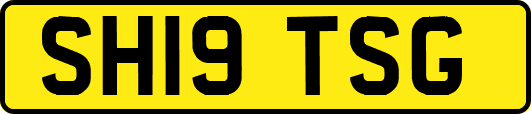 SH19TSG