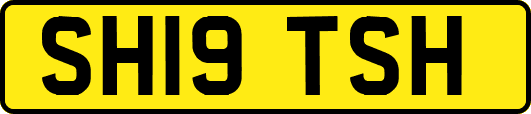 SH19TSH