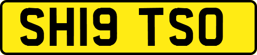 SH19TSO