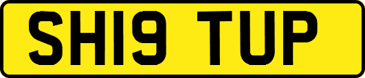 SH19TUP