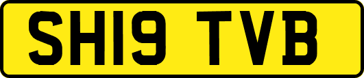 SH19TVB