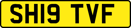 SH19TVF