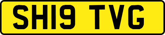 SH19TVG