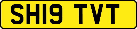 SH19TVT
