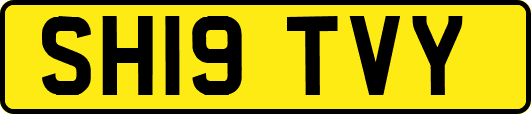 SH19TVY