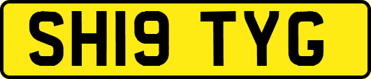 SH19TYG