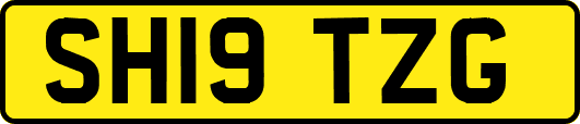 SH19TZG