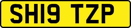 SH19TZP
