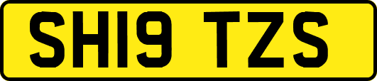 SH19TZS