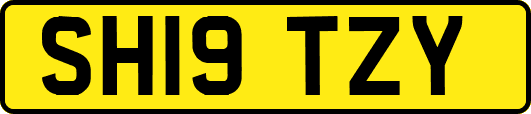 SH19TZY