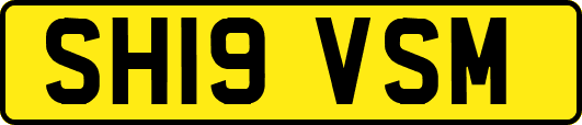 SH19VSM