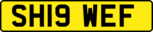 SH19WEF