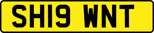 SH19WNT