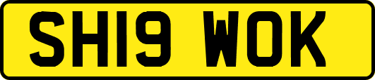 SH19WOK