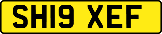 SH19XEF