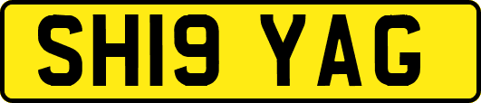 SH19YAG