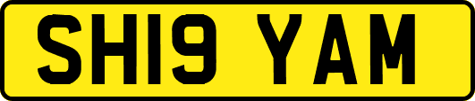 SH19YAM