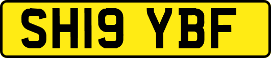 SH19YBF