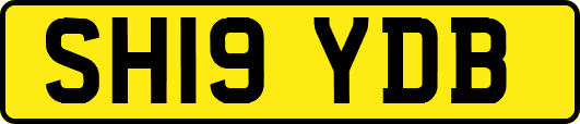 SH19YDB