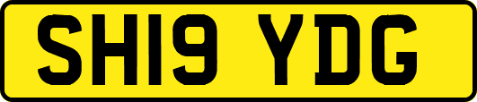 SH19YDG