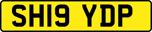 SH19YDP