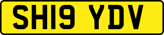 SH19YDV