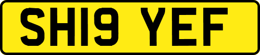 SH19YEF