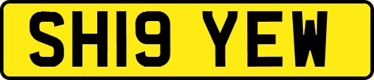 SH19YEW