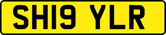 SH19YLR