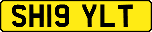 SH19YLT