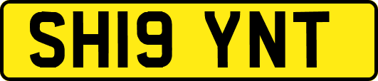 SH19YNT