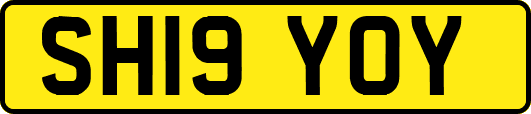 SH19YOY
