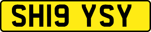 SH19YSY
