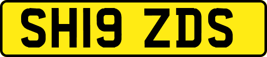 SH19ZDS