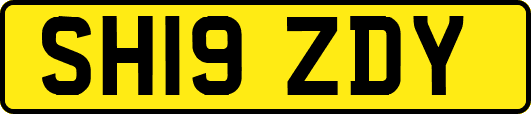 SH19ZDY