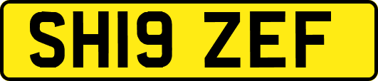 SH19ZEF