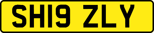 SH19ZLY